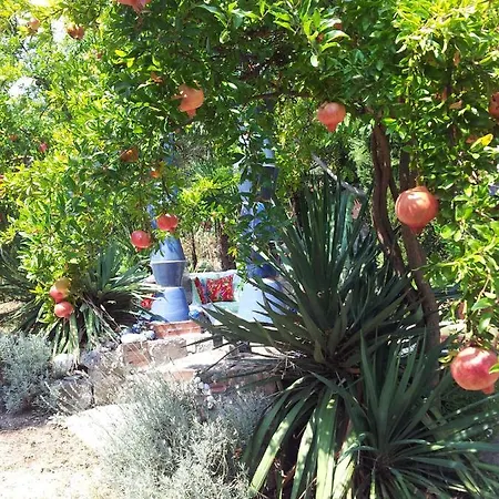 Villa Athonia Holiday home Sevasti (Pieria)